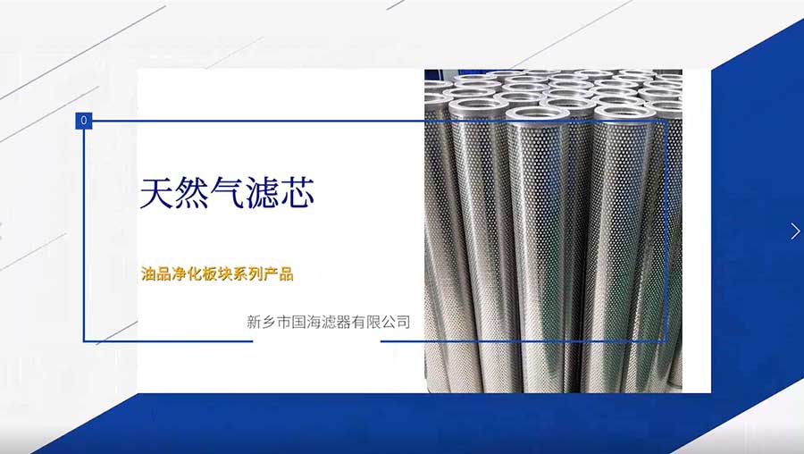 天然氣濾芯